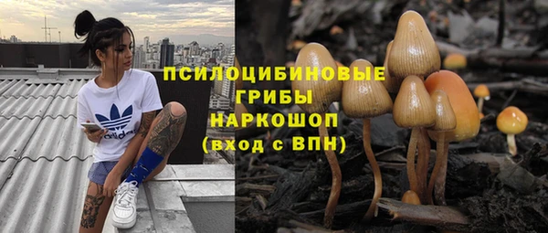 mdpv Ладушкин