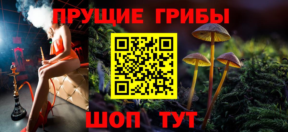 Ростов-на-Дону  Псилоцибиновые грибы Psilocybe  Псилоцибиновые грибы Psilocybine cubensis  Вход с VPN 