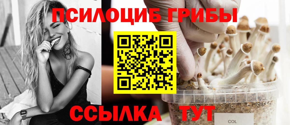 Галлюциногенные грибы MAGIC MUSHROOMS Ростов-на-Дону