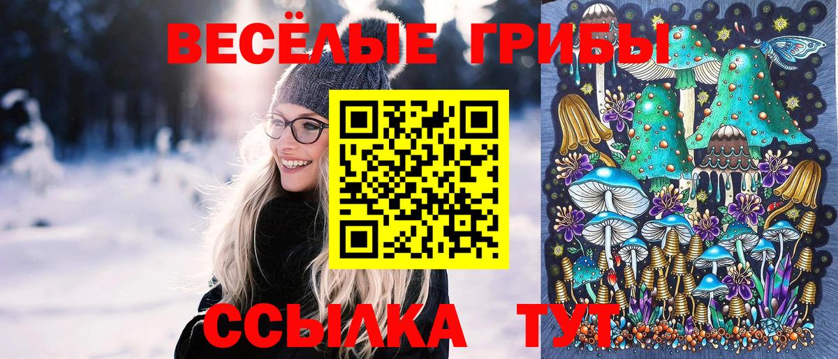 Псилоцибиновые грибы мицелий  Ростов-на-Дону  закладки  Галлюциногенные грибы GOLDEN TEACHER 